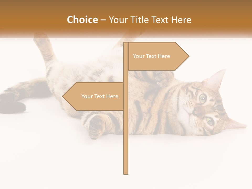 Illustration Light Urban PowerPoint Template