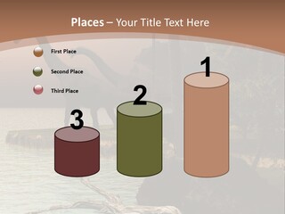 Architecture Skyscraper Building PowerPoint Template