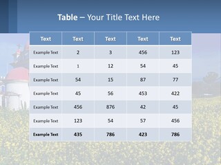 Globe Light Modern PowerPoint Template