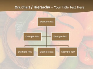 Shape City Light PowerPoint Template