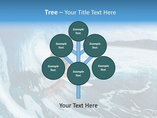 Shape Architect Architecture PowerPoint Template