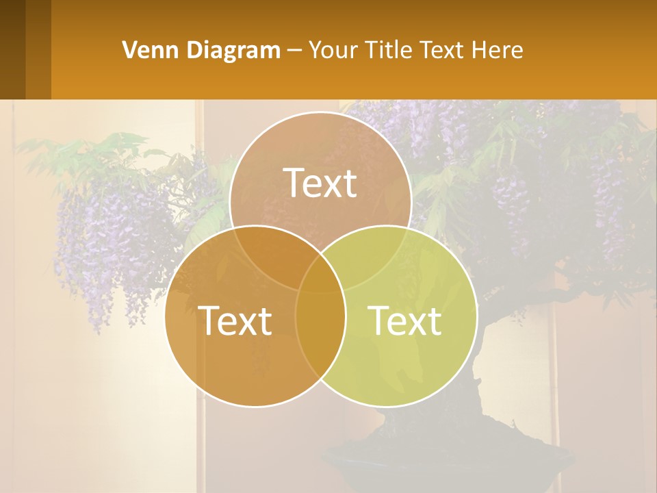 Architecture House Sphere PowerPoint Template