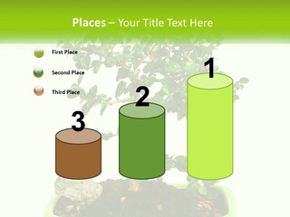 World Abstract Grey PowerPoint Template