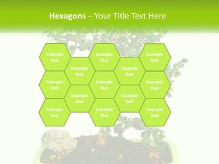 World Abstract Grey PowerPoint Template