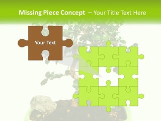 World Abstract Grey PowerPoint Template