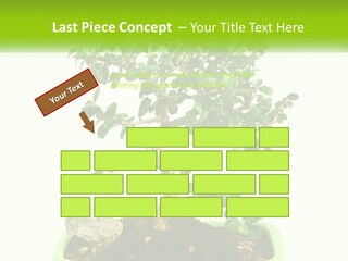 World Abstract Grey PowerPoint Template