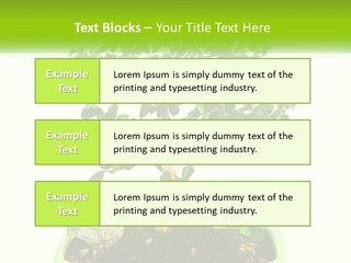 World Abstract Grey PowerPoint Template