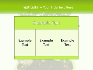 World Abstract Grey PowerPoint Template