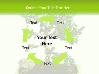 World Abstract Grey PowerPoint Template