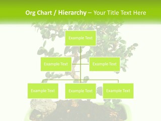 World Abstract Grey PowerPoint Template