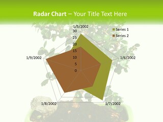 World Abstract Grey PowerPoint Template