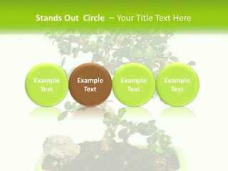 World Abstract Grey PowerPoint Template