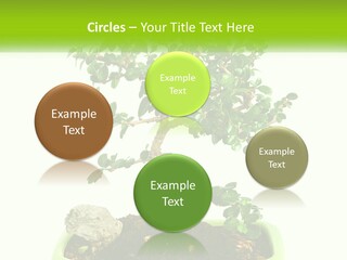 World Abstract Grey PowerPoint Template