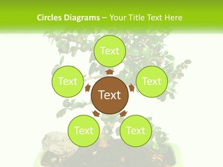 World Abstract Grey PowerPoint Template