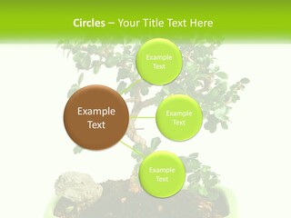 World Abstract Grey PowerPoint Template