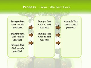 World Abstract Grey PowerPoint Template