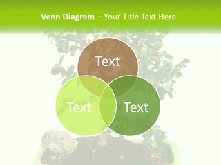 World Abstract Grey PowerPoint Template