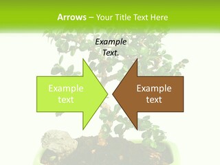 World Abstract Grey PowerPoint Template