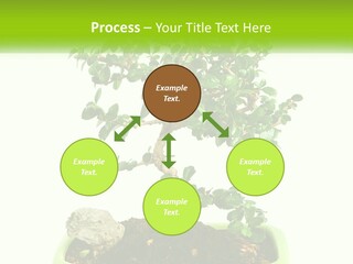 World Abstract Grey PowerPoint Template