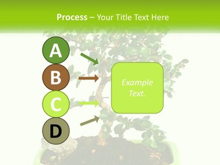 World Abstract Grey PowerPoint Template