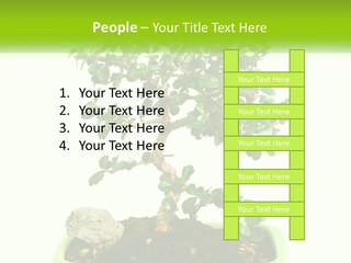 World Abstract Grey PowerPoint Template