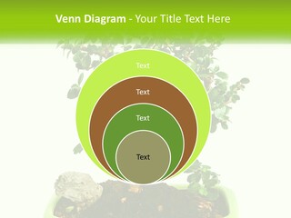 World Abstract Grey PowerPoint Template