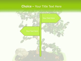 World Abstract Grey PowerPoint Template