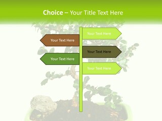 World Abstract Grey PowerPoint Template