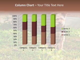 Skyscraper Architect Sphere PowerPoint Template