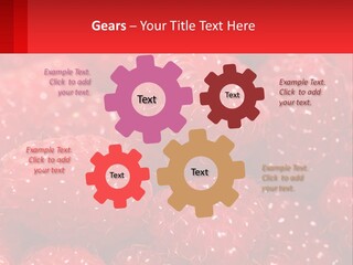 View Render Concept PowerPoint Template
