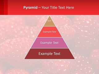 View Render Concept PowerPoint Template