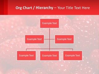 View Render Concept PowerPoint Template