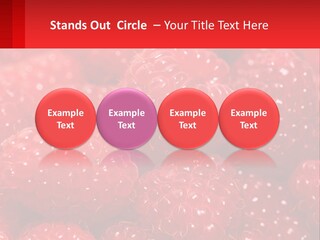 View Render Concept PowerPoint Template