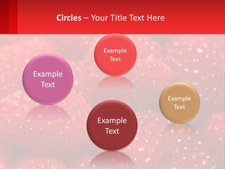 View Render Concept PowerPoint Template