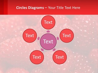 View Render Concept PowerPoint Template