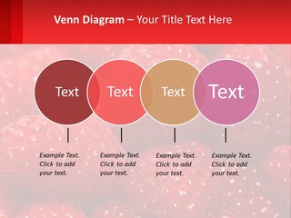 View Render Concept PowerPoint Template