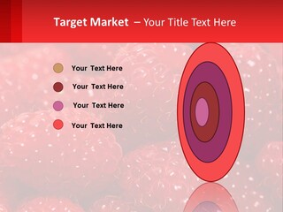 View Render Concept PowerPoint Template