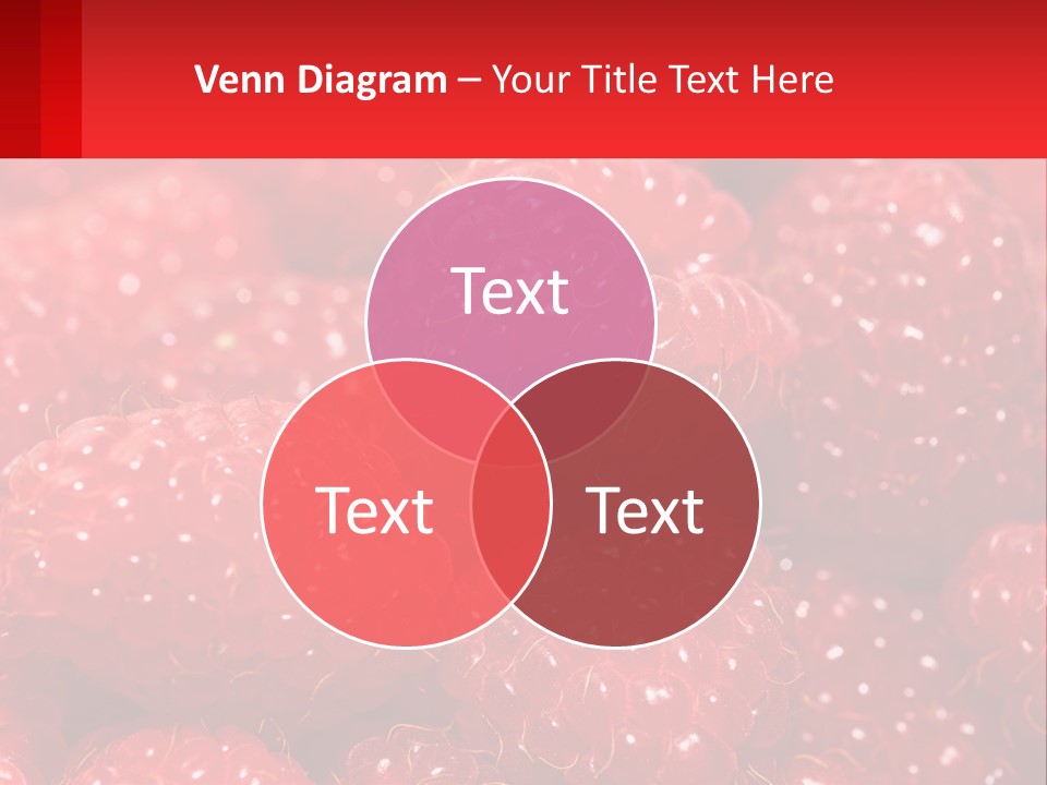 View Render Concept PowerPoint Template