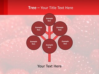 View Render Concept PowerPoint Template