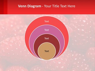 View Render Concept PowerPoint Template