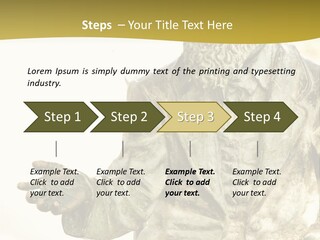 World Shape View PowerPoint Template