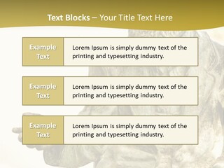 World Shape View PowerPoint Template