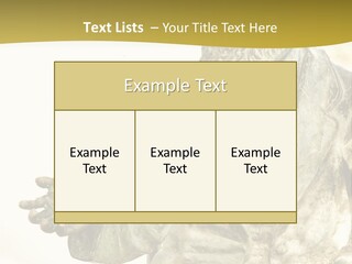 World Shape View PowerPoint Template