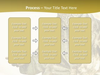 World Shape View PowerPoint Template