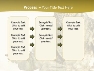 World Shape View PowerPoint Template