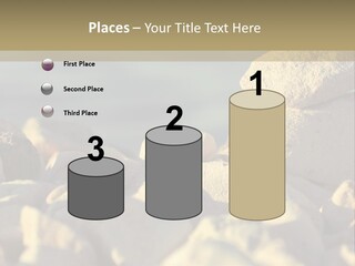 Light View Building PowerPoint Template