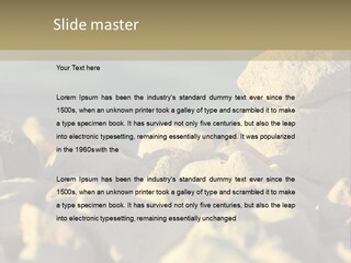 Light View Building PowerPoint Template