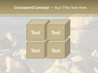 Light View Building PowerPoint Template