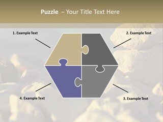 Light View Building PowerPoint Template