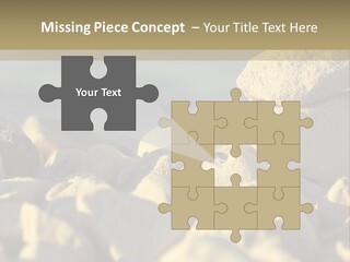 Light View Building PowerPoint Template